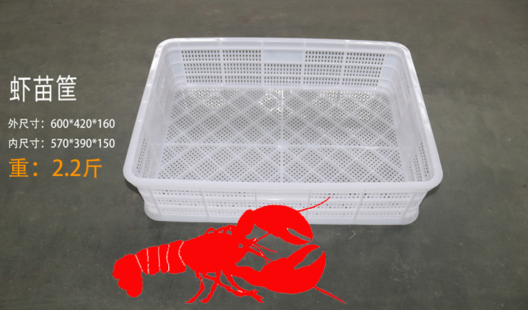 益樂上新啦！蝦苗存活率低？蝦苗筐聽完想打人