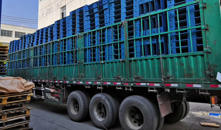 直擊！塑料托盤廠家的最新影像！