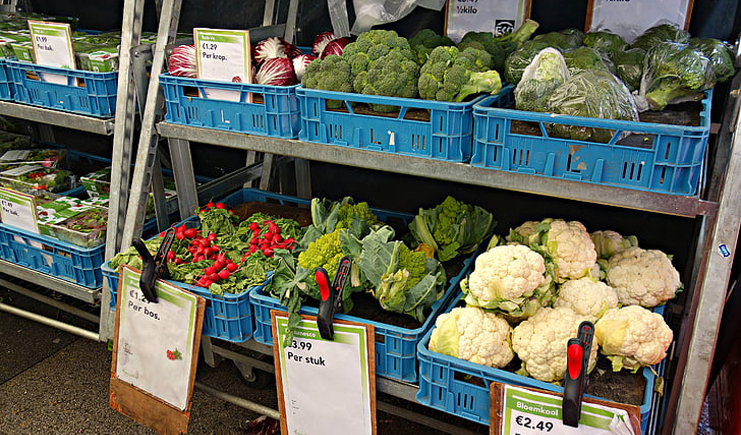 水果塑料周轉箱筐批發，快到筐里來！